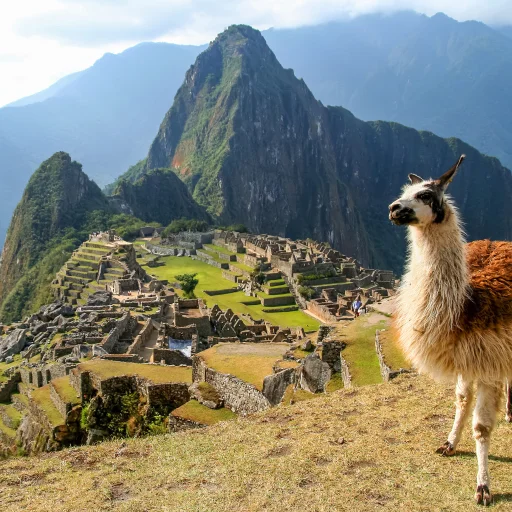 Cusco Mágico 8 días