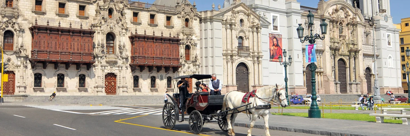 city tour mas show